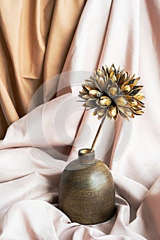 Dried flower in wooden vase against draper. Delicate modern still life