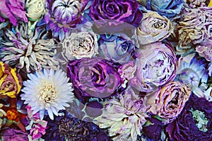 Dried flowers