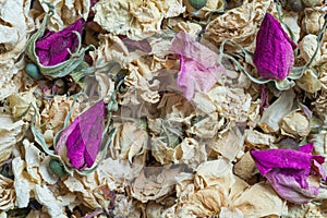 Dried flowers