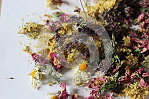 Dried flowers for aromatic tea
