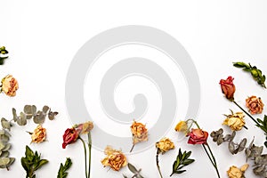 Dried flowers composition. Frame made of dried rose. Flat lay, top view Autumn floral  pattern