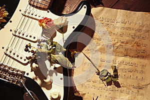 Dried flowers on electric guitar and rare music notes closeup