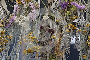 Dried Flowers and Herbs Hanging