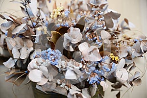 Dried flowers Lunaria and statice - herbarium