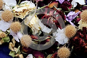 dried flowers, multicolor background