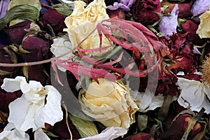 dried flowers, multicolor background