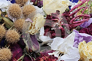 dried flowers, multicolor background