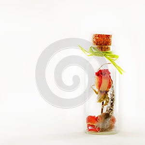 Dried flowers, plumelet, rose in aroma dropper bottle on white background, Herb-infused oil. Copyspace