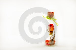 Dried flowers, plumelet, rose in aroma dropper bottle on white background, Herb-infused oil. Copyspace