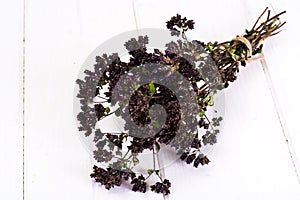 Dried Flowers and Stems of Thyme