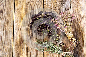 Dried Flowers and Stems of Thyme