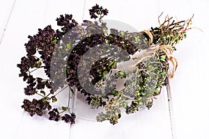 Dried Flowers and Stems of Thyme