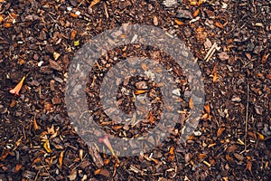 Dried flowers, tree bark and stones