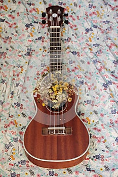 Dried flowers, ukulele