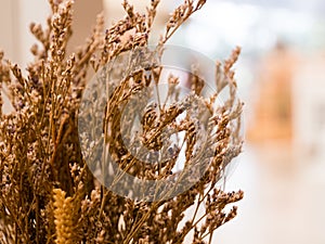 Dried flowers used in home decoration in bokeh bulb behind the s