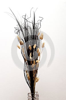 Dried flowers in vase on white background