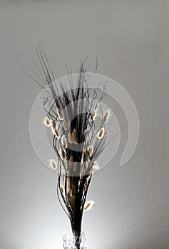 Dried flowers in vase on white background