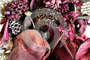 Dried Flowers Wallpaper