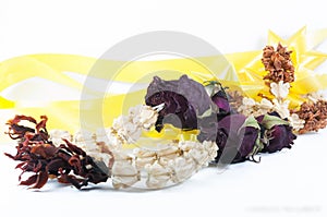 Dried flowers on white background