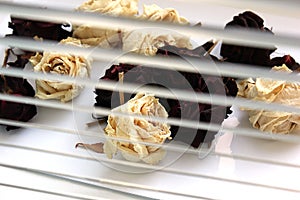 Dried flowers on the window. roses
