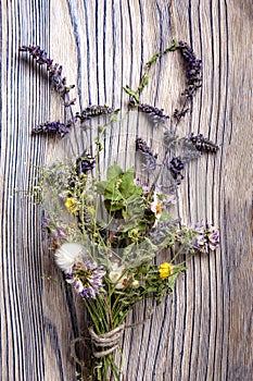 Dried Flowers on a wooden background Autumn Still Life