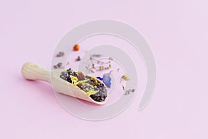 Dried flowers in wooden spoon on pink background.