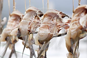 Dried flying fish
