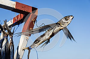 Dried flying fish