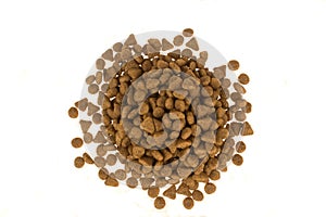 Dried food for dogs or cats isolated in white background. Pet care