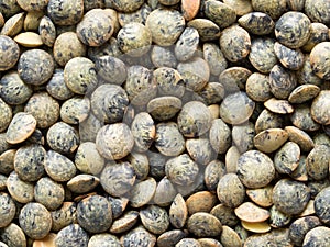 Dried french green puy lentil food background