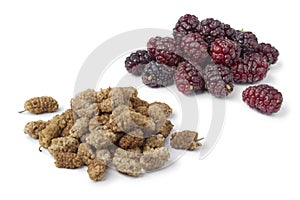 Dried and fresh mulberries