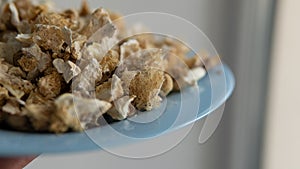 Dried fruiting bodies of Hericium erinaceus mushroom close-up
