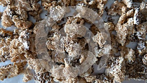 Dried fruiting bodies of Hericium erinaceus mushroom close-up