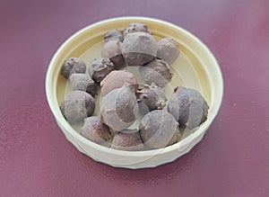 Dried fruits of beleric Myrobalan or Terminalia bellirica photo