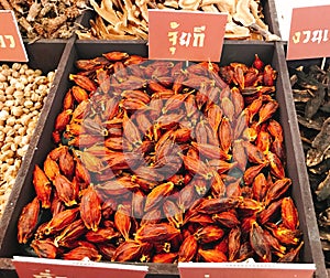 Dried fruits of Gardenia jasminoides or Fructus gardenia or Cape jasmine or Zhi zi shan or Chija.