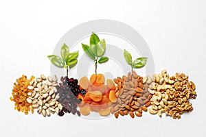 Dried fruits and nuts, branch with young green leaves on white background. Jewish holiday Tu Bishvat. Copy space