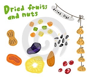 Dried fruits and nuts sketch. Prunes dried apricots and pineapple. Hand drawn. Vector cartoon illustration. Street