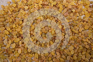 Dried fruits Yellow sweet delicious raisins pattern texture can be used as a background wallpaper