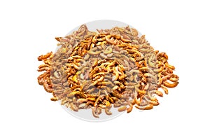 Dried gammarus food for aquarium fish closeup on white background