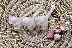 Dried garlic bulbs with cloves in woven basket