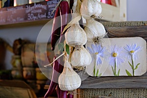 Dried garlic and peppers in a bunch indoors. Concept: A charm for the house from evil spirits. An organic product