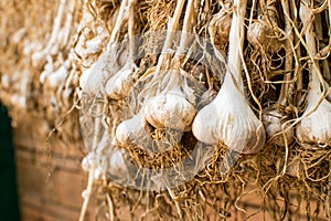 Dried garlic stem Hang on the railing.