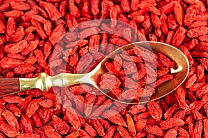 Dried goji berries in a gold vintage spoon, view from above. Goji berry natural background