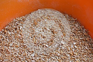 Dried grain wheat sprouts close up