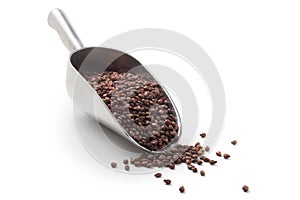 Dried grape seeds in scoop