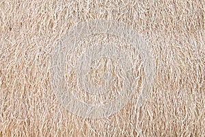 Dried grass background or hay bale texture patterns  on wall