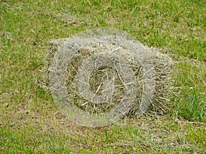Dried grass in a bale