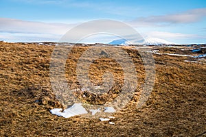 The dried grass field or hay field in the snow covered forest wi