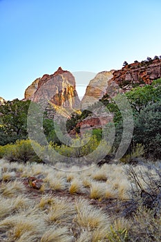 Dried Grass and Majestic Peaks at Zion