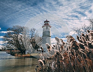 Dried grass near the lake with a white lighthouse in the background under the cloudy sky